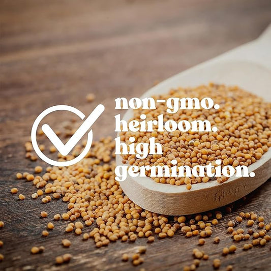 Red Chief California Poppy 0.25 Oz ~4,500 Seeds – Eschscholzia californica – Non-GMO, Heirloom – Fiery Red-Orange Blooms – 12–18" Tall – Annual or Perennial – Drought Tolerant