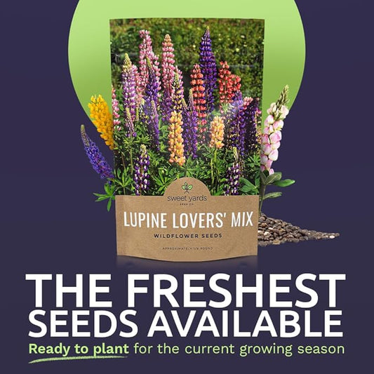 Bulk Lupine Mix Wildflower Seeds 1/4 Pound Bag - Over 4,500 Untreated Annual and Perennial Mixed Lupine Flower Seeds