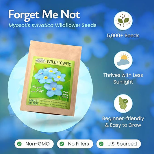 Created by Nature Forget Me Not Seeds, 5,000 Blue Biennial Wildflower Seeds