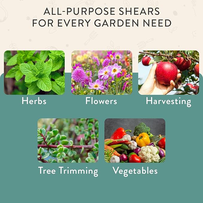 Modern Sprout Pruning Shears - Herb Snipping Scissors- Lightweight Gardening Tools W/Easy Lock - Flower Cutter Garden Shears - Carbon Steel Blade + Reusable Holster (Ocean, 1-Pack)