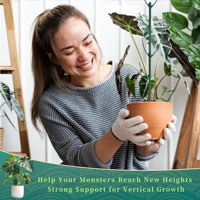 10 Pack Stackable Monstera Plant Support Stakes, 75inch Climbing Garden Plant Support Sticks Structures with 20pcs Clips & Ties, for Indoor Outdoor Plants Alternative to Moss Pole