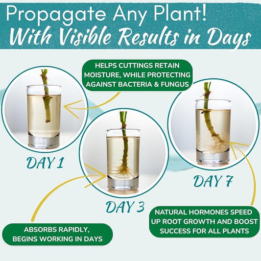Houseplant Prop Drops - Propagation Promoter & Root Growth Hormone | Root Stimulator for Cuttings | Supports Stronger, Healthier Plants | Easy-to-Use Liquid Formula for Water & Soil Propagation | 8oz