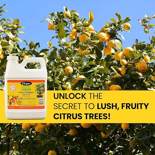 Citrus Tree Fertilizer - Orange, Lemon, Lime, Mango, Avocado - Citrus Fertilizer for Tropical Fruit Trees to Grow More Fruit - Garden-Growing Miracle Nutrients - 1 Qt / 32 fl oz / 946 mL
