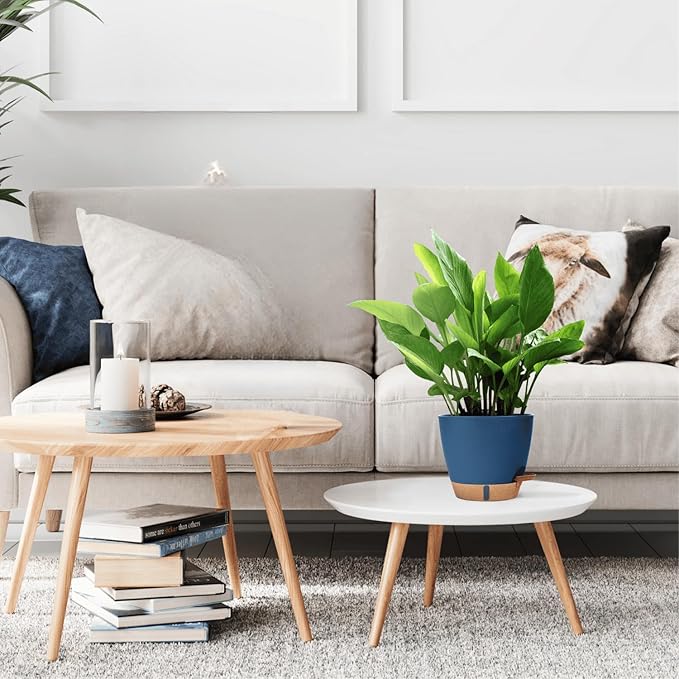 montresor 2-Pack of 8inch Self Watering Pots Blue Sturdy Plastic Flower Pot for Indoor Plants with Cotton Rope and Visual Water Storage Tray, Plastic Pots for Plants