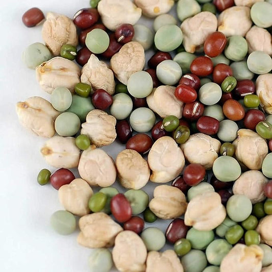 Protein Powerhouse Sprouting Seed Mix: 2.5 Lb - Organic, Non-GMO - Sprouting Sprouts, Food Storage. High Protien Sprouts - Pea, Mung, Green Pea, Adzuki
