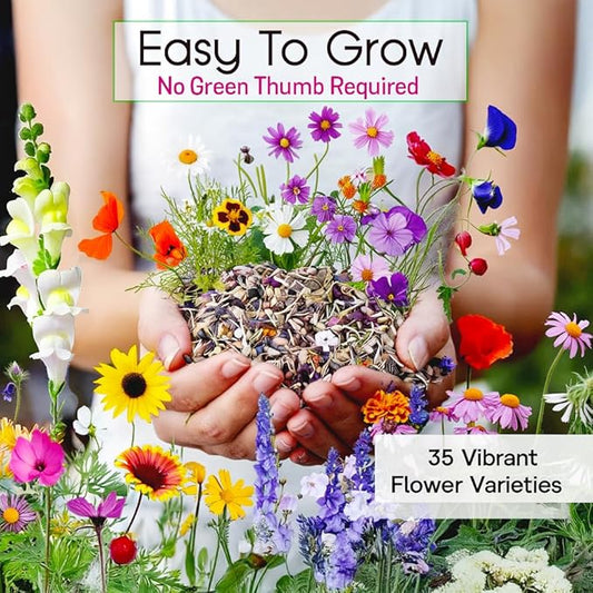NatureZ Edge Wildflower Seeds Mix – 2 Oz, 85,000 Seeds, 35 Variety Perennial & Annual Flower Seeds to Plant Outside, Bulk Wildflower Seeds, Wild Flower, Semillas de Flores