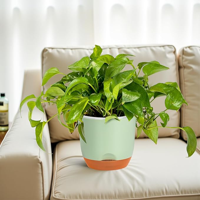 QCQHDU 2 Pack 7.2 Inch Orchid Pots with Holes for Repotting, Double-Layer and Self Watering Orchid Pot with Good Air Circulation