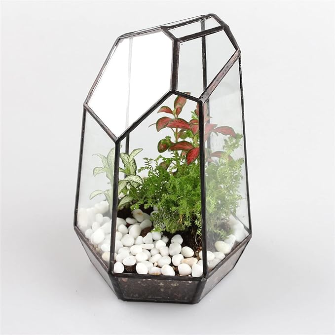 NCYP Small Glass Geometric Terrarium - 4.9 x 3.9 x 7.4 Inches Irregular Clear Planter Pot for Succulents, Cactus, Indoor Garden Tabletop Decoration, Centerpiece (No Plants, No Door)