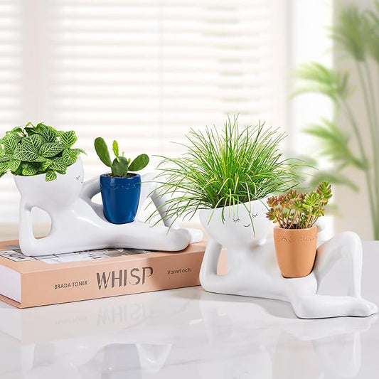 Face Planters Head, Funny Succulent Garden Pots,Cute Planters for Indoor Plants, Double Flower Pot with Drainage for Plant Lovers Gift ((Blue)