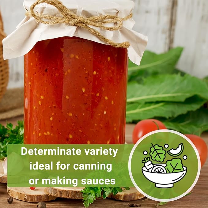 Sow Right Seeds - Marglobe Tomato Seeds for Planting - Non-GMO Heirloom Packet with Instructions to Plant and Grow a Home Vegetable Garden - Classic Medium Red Variety - Determinate Hydroponic (1)