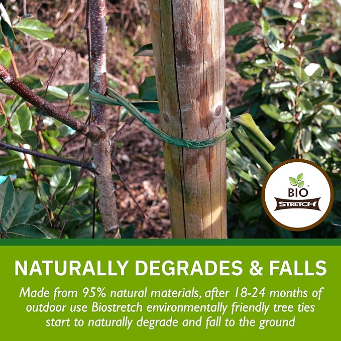Extra Wide Soft Tree Ties - Strong & Stretchy Support for Large Plants & Young Trees - Cut-to-Length Green Garden Tape for Home & Professional Gardening (52 ft / 16M)