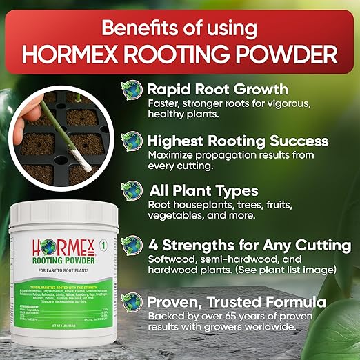 Hormex Rooting Powder #1 (0.10 IBA)- Rooting Hormone for Delicate Houseplants, Garden Herbs & Succulent Cuttings - Root Stimulator for Plant Cloning - Strong Growth for Maximum Propagation Success,1LB