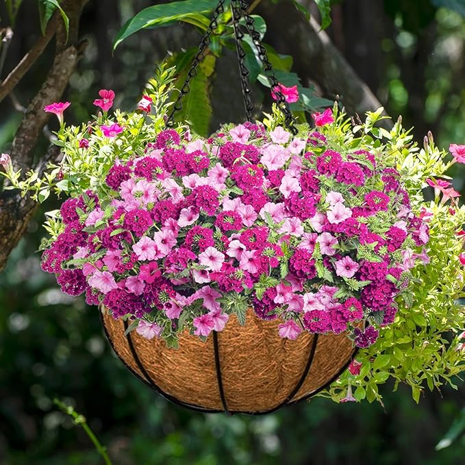 Halatool 4 PCS 10 Inch Round Coco Liners Hanging Basket 100% Natural Replacement Coconut Fiber Liner for Garden Flower Pot Vegetables Herbs