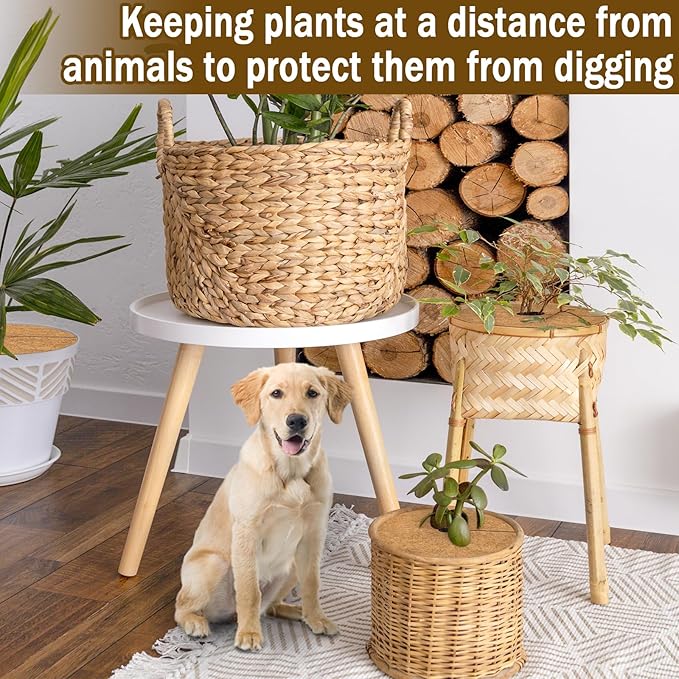 ZeeDix 12 Pack Coconut Fiber Mulch Ring, 11.8 Inch Coco Coir Tree Ring Mulch Mat, 100% Natural Tree Protector Mat Plant Cover Ring Coconut Coir Discs Tree Mats Mulch Rings for Indoor Outdoor Plants