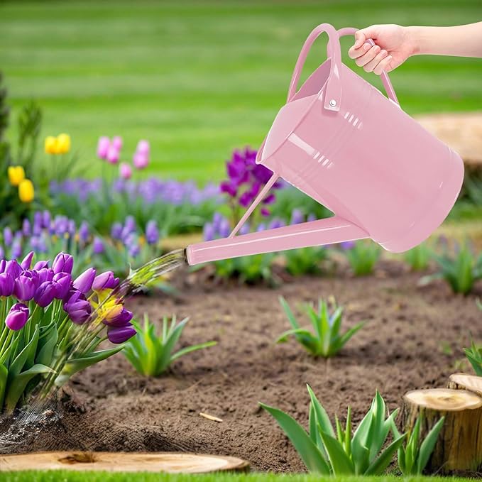 Metal Watering Can for Outdoor Plants, 2 Gallon, Garden Watering Can for Flower, Houseplants (Pink)