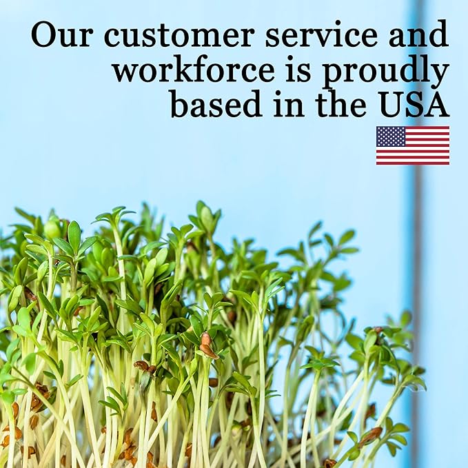 Mountain Valley Seed Co Slow Bolt Cilantro Herb Garden Seeds: 5 Gram Packet - Non-GMO Micro Greens & Herbal Gardening Seeds