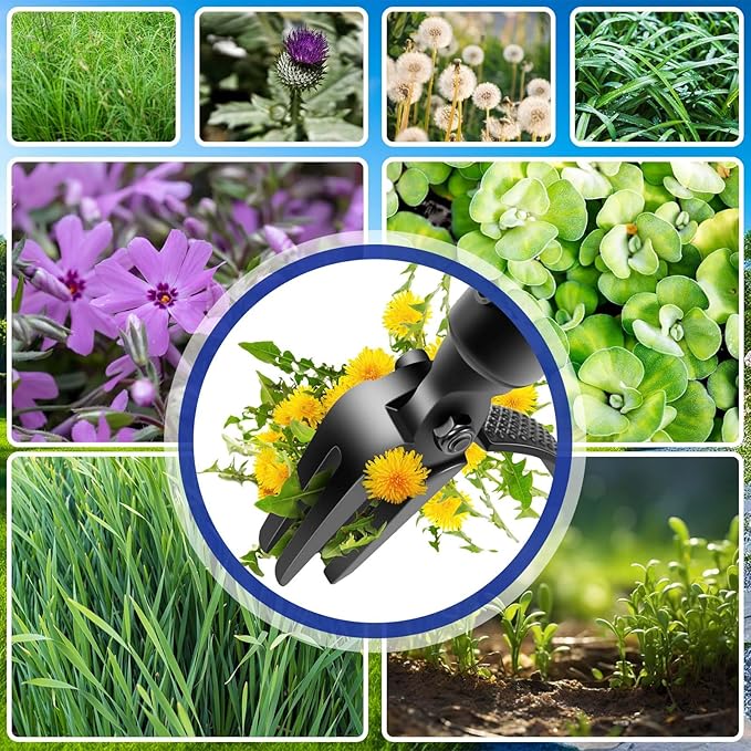 Weed Puller Tool - 63" Stand Up Weeder | 4-Claw Steel Head, 4 Adjustable Lengths | Heavy Duty Detachable Weeding Tool for Lawn/Yard/Garden | No Bending/Kneeling