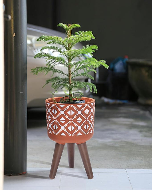 D'vine Dev 8 Inch Planter Pot with Stand, Mid-Century Tall Plant Pot with Legs for Indoor Plants, Pottery Red Terracotta/White, 88-G-A-5
