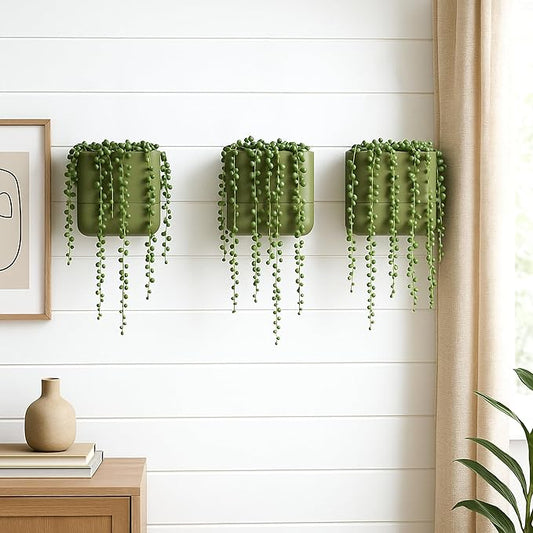 Phoenix Vine 6.5-Inch Wall Mounted Self-Watering Planter Pot for Indoor Houseplants and Herbs | Hanging Planter for Window Sills, Bathroom Walls, Home & Office Décor, Olive, Set of 3, 01-WP-C-3