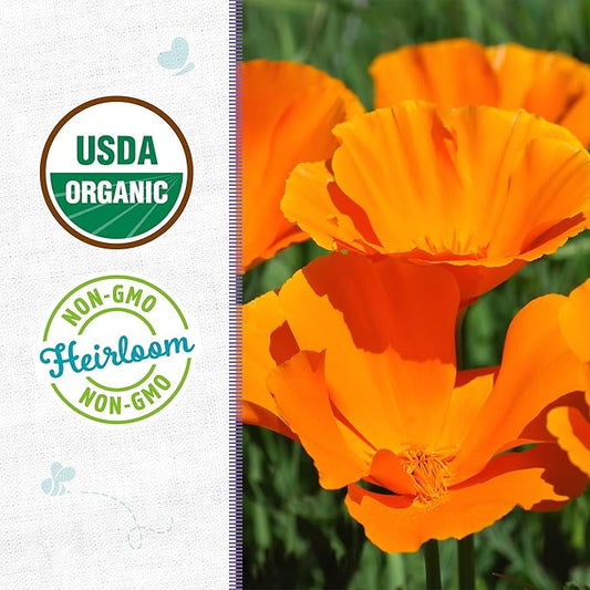 Back to the Roots 100% Organic Seed Packet - Poppy 'California'