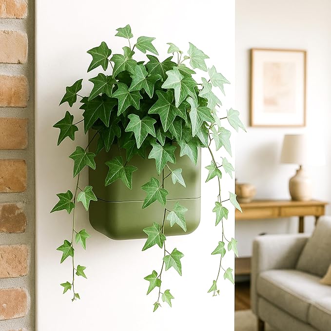 Phoenix Vine 6.5-Inch Wall Mounted Self-Watering Planter Pot for Indoor Houseplants and Herbs | Hanging Planter for Window Sills, Bathroom Walls, Home & Office Décor, Olive, Set of 3, 01-WP-C-3