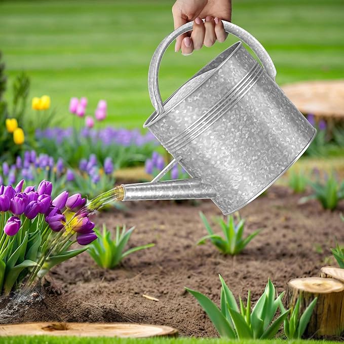 2.5 Gallon Metal Watering Can, Galvanized Watering Can for Outdoor Indoor Plants, Large Water Can for Plants and Garden Flower