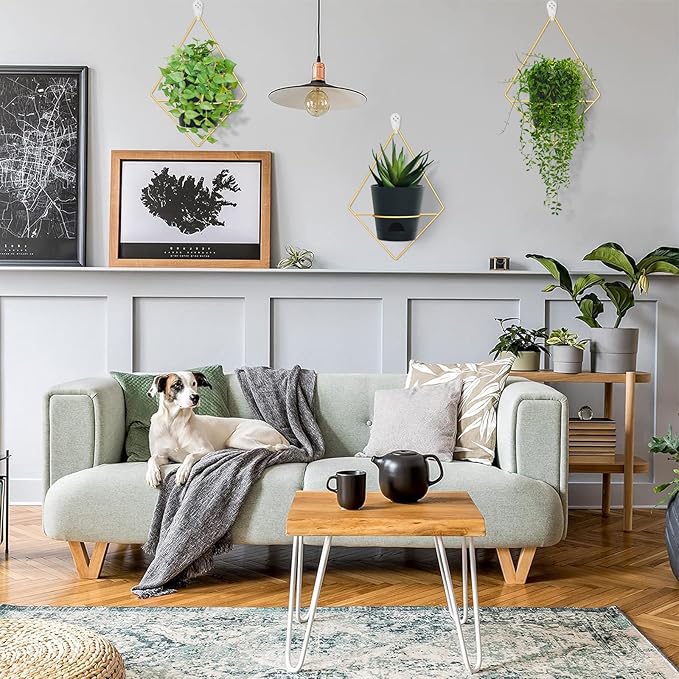 3 Sets Wall Planters for Indoor Plants Geometric Hanging Planters for Indoor Plants - Self-Watering Flower Pots with Black Metal Holder, Mounted Succulent Planter, 5" Black Plant Pot