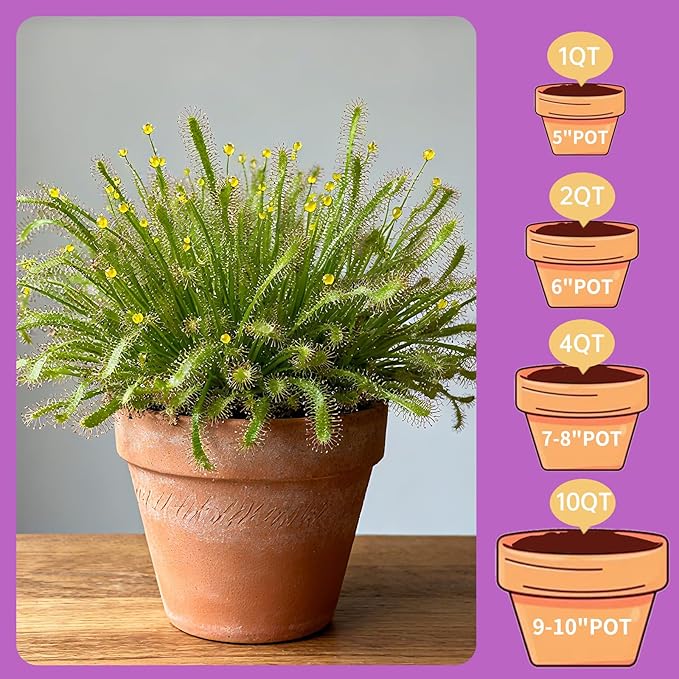 Premium Carnivorous Plant Soil for Venus Fly Trap Live Plants 2qt | New Upgraded Formula with High Drainage & Breathability