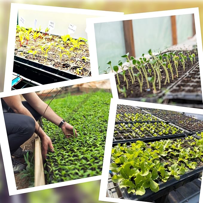 (20Pack) 72-Cell Seed Starter Trays with Dibber, 10 Pack Nursery Starting with Base Tray, 72 Hole Soil Digger for Setting Out Quickly, Seedling Planting Tray, Germination Kit Trays Reusable