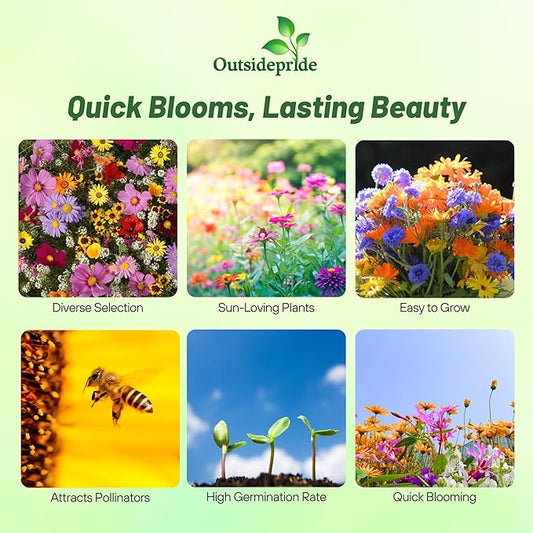Outsidepride Annual Sun Wild Flower Seed Mix - 1 lb Premium Blend of Annual Wildflower Seeds for Sunny Locations, Vibrant & Easy-to-Grow, Attracts Pollinators, Ideal for Home Gardens & Floral Displays