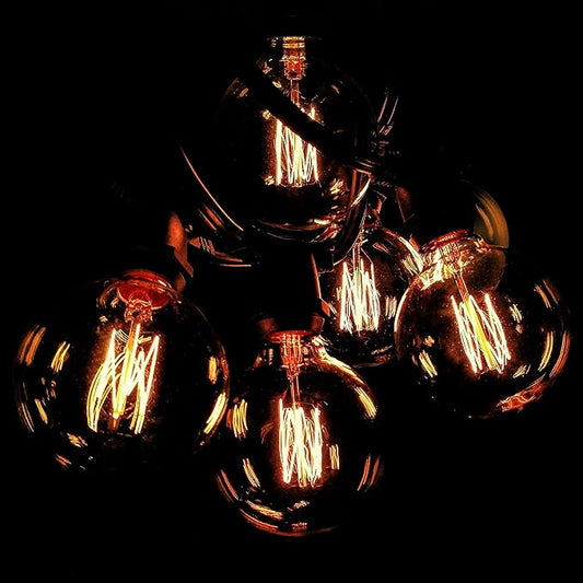 Hometown Evolution, Inc. Commercial Edison Bulb Outdoor String Lights with Hand-Threaded Filament (G60 Lantern Edison - Commercial Black Wire, 25 ft)