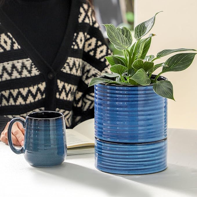 HASENSE Self Watering Pots for Indoor Plant, 6 Inch Porcelain Planter with Drainage Hole & Water Storage Plus for Indoor & Outdoor Plants, Round Flower Pot for Christmas Thanksgiving Gift, Blue