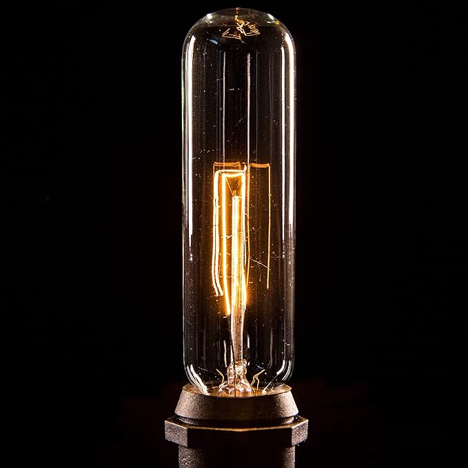 Hometown Evolution, Inc. Commercial Edison Bulb Outdoor String Lights with Hand-Threaded Filament (T25 Tube Edison - Commercial Black Wire, 100 ft)