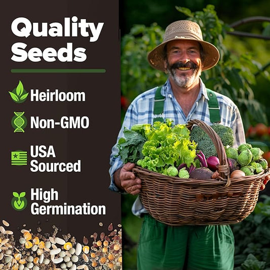 HOME GROWN 12 Fall Vegetable Seeds 6,000+ Heirloom Seeds for Fall & Winter Planting – Beets, Broccoli, Cabbage, Kale, Onion, Pumpkin, Turnip, Lettuce, Peas & More for Home Garden