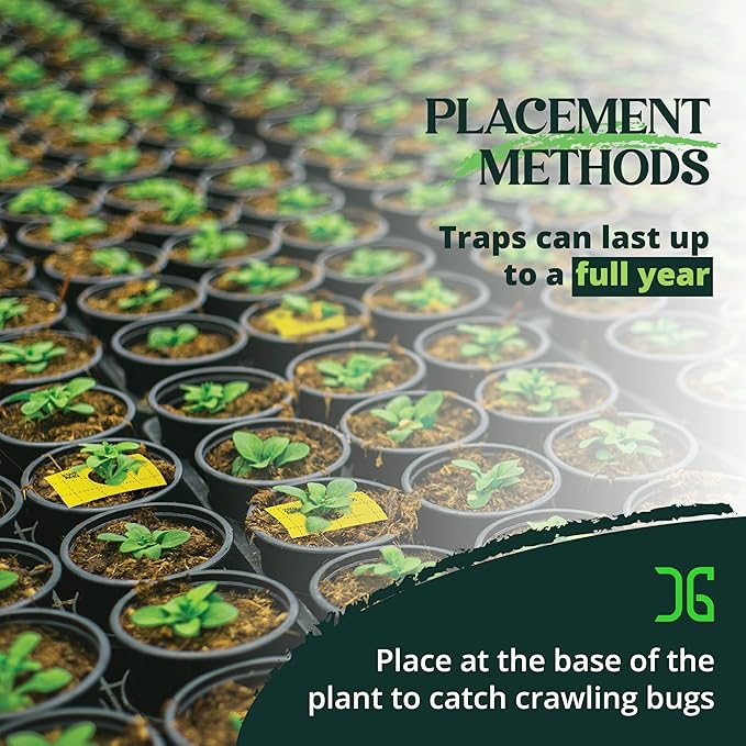 Catchmaster GRO Yellow Pre-Cut Ready to Use Sticky Traps 50PK, Bug & Fly Trap with Center Hole for Crawling Insects, Pest Control for Home, Garden & Greenhouse, Protect Live Plants Indoor & Outdoor