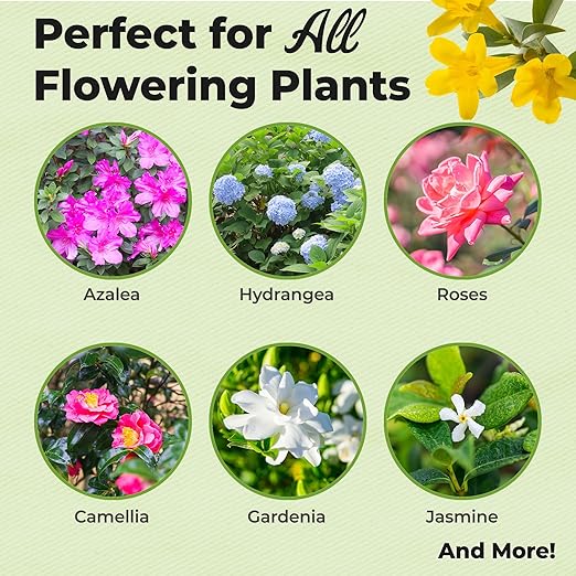 Advanced Bloom Booster Flower Fuel by Perfect Plants | Water Soluble & High Nutrient Fertilizer for Beautiful Flowers and Fruit Such as Rose, Blueberry, Plumeria, and Hydrangea (226 Grams)