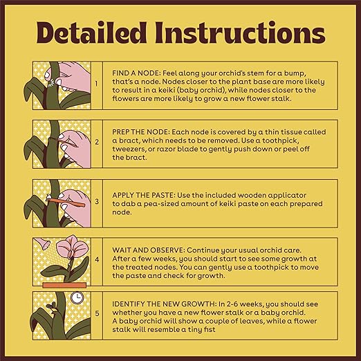 Keiki Paste for Plants to Clone & Create New Growth - 2X The Paste - Rapid Start Cloning Gel for House Plants - Keiki Cloning Paste for Plants- Nutrient Rich Plant Growth Gel - 0.5oz