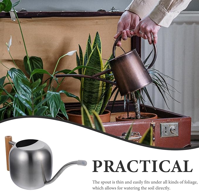 HANABASS 1200ml Long Spout Watering Can Indoor Plant Watering Can Metal Small for Indoor Plants (Silver)