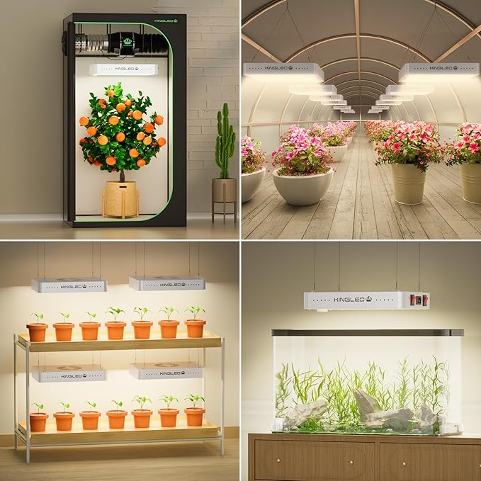 KingLED KP1000 LED Grow Lights with Yield LEDs 2x2ft Coverage Full Spectrum Grow Lights for Indoor Hydroponic Plants Greenhouse Growing Lamps Veg Bloom Daul Mode