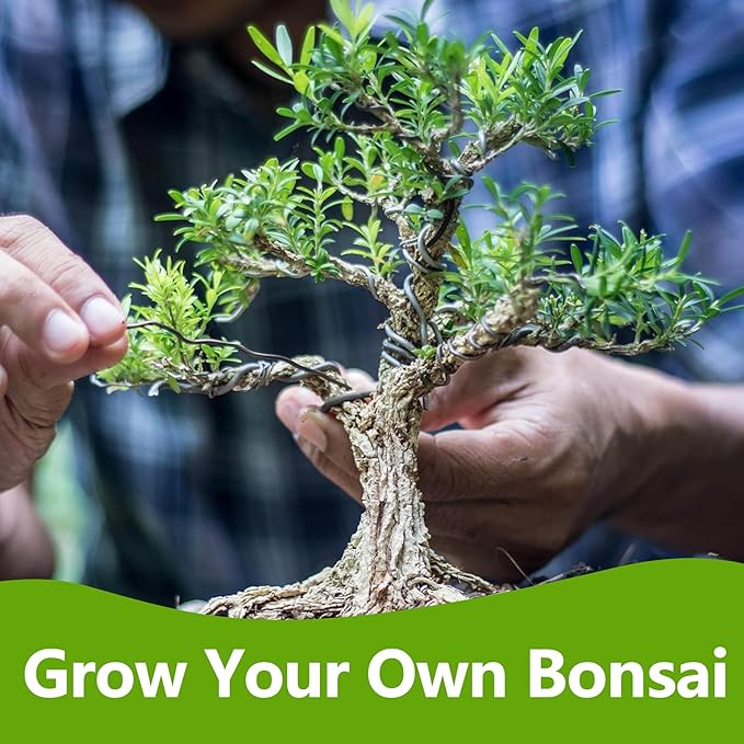 Bonsai Tree Kit, Bonsai Starter Kit with Seeds & Tools, Tree Live Plants Indoor, Gardening Gifts for Women Men Mom Father Plant Lover, Birthday Thanksgiving