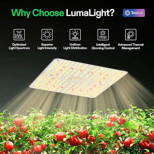VIVOSUN 2-Pack VS1000 LED Grow Light with Full Spectrum Diodes & Sosen Driver Dimmable Lights Sunlike for Indoor Plants Seedling Veg and Bloom Plant Grow Lamps for 2x4/3x3 Grow Tent