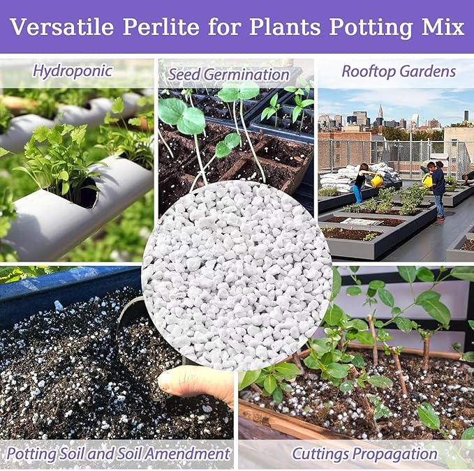 Riare 10 Quarts Organic Perlite for Plants - Horticultural Perlite Soil Amendment for Plants Potting Mix, Natural Chunky Perlite Soil Additive Conditioner Improve Root Growth, Drainage and Ventilation