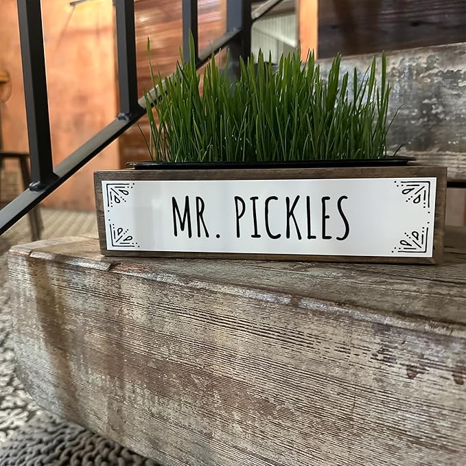 Whetagrass Kits (Wheatgrass Grow Kit - Custom Box)