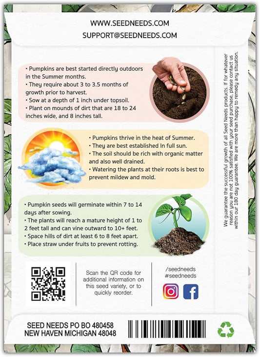 Seed Needs White Pumpkin Seeds for Planting Lumina Pumpkins - Non-GMO Heirloom & Untreated Vegetable Seeds to Plant an Outdoor Pumokin Patch - Perfect for Carving (5 Packs)