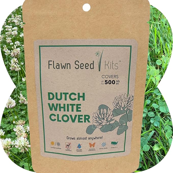 Flawn Seed Kits White Dutch Clover Seed, 2.2 Oz, Organic Coated, Natural Lawn, Ground Cover, Hunting Food Plot, Covers up to 500 SqFt