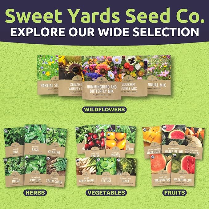 Marigold French Petite - Bulk 2 Ounce Pouch - 15,000 Flower Seeds for Planting - Tagetes patula