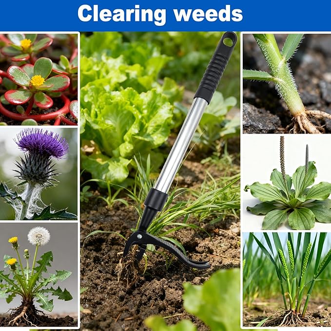 Weed Puller Tool Stand Up Weeder with Long Handle & 4-Claw Steel Head, Manual Weed Remover for Lawn and Garden, No Bend Weeding Tool