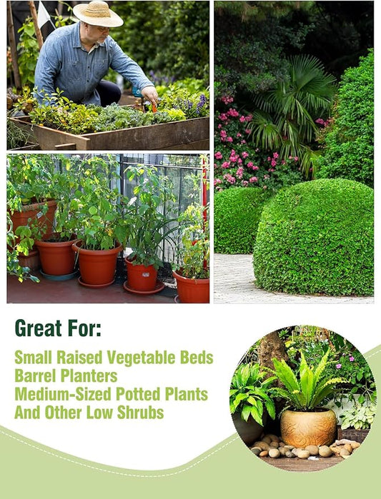 ANPHSIN 6 pcs Plant Covers Freeze Protection - 19.6in x 39.3in Winter Shrub Plant Protection Bags, Frost Blankets Cloths with Drawstring for Outdoor Garden Rose Bush Plants, Green