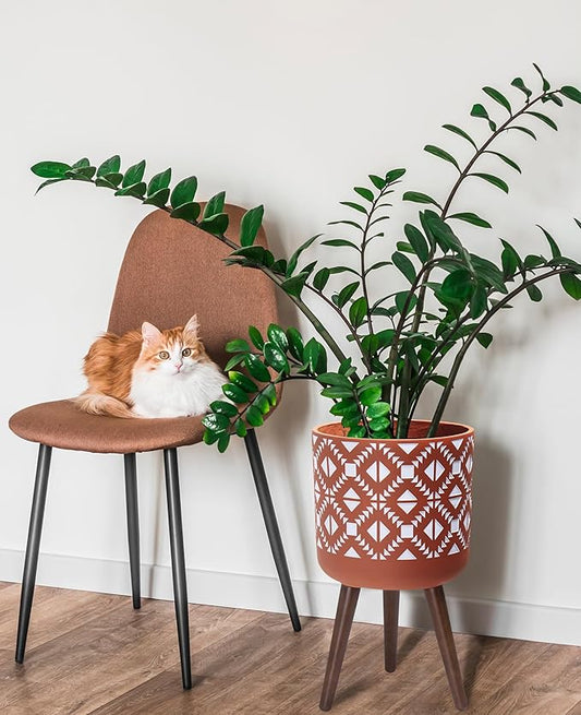 D'vine Dev 12 Inch Planter Pot with Stand, Mid-Century Tall Plant Pot with Legs for Indoor Plants, Pottery Red Terracotta/White, 88-G-C-5