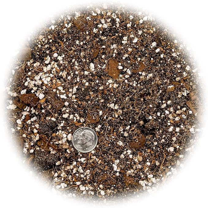 GARDENERA Premium Spider Plant Potting Soil Mix - (1 Quart Bag)